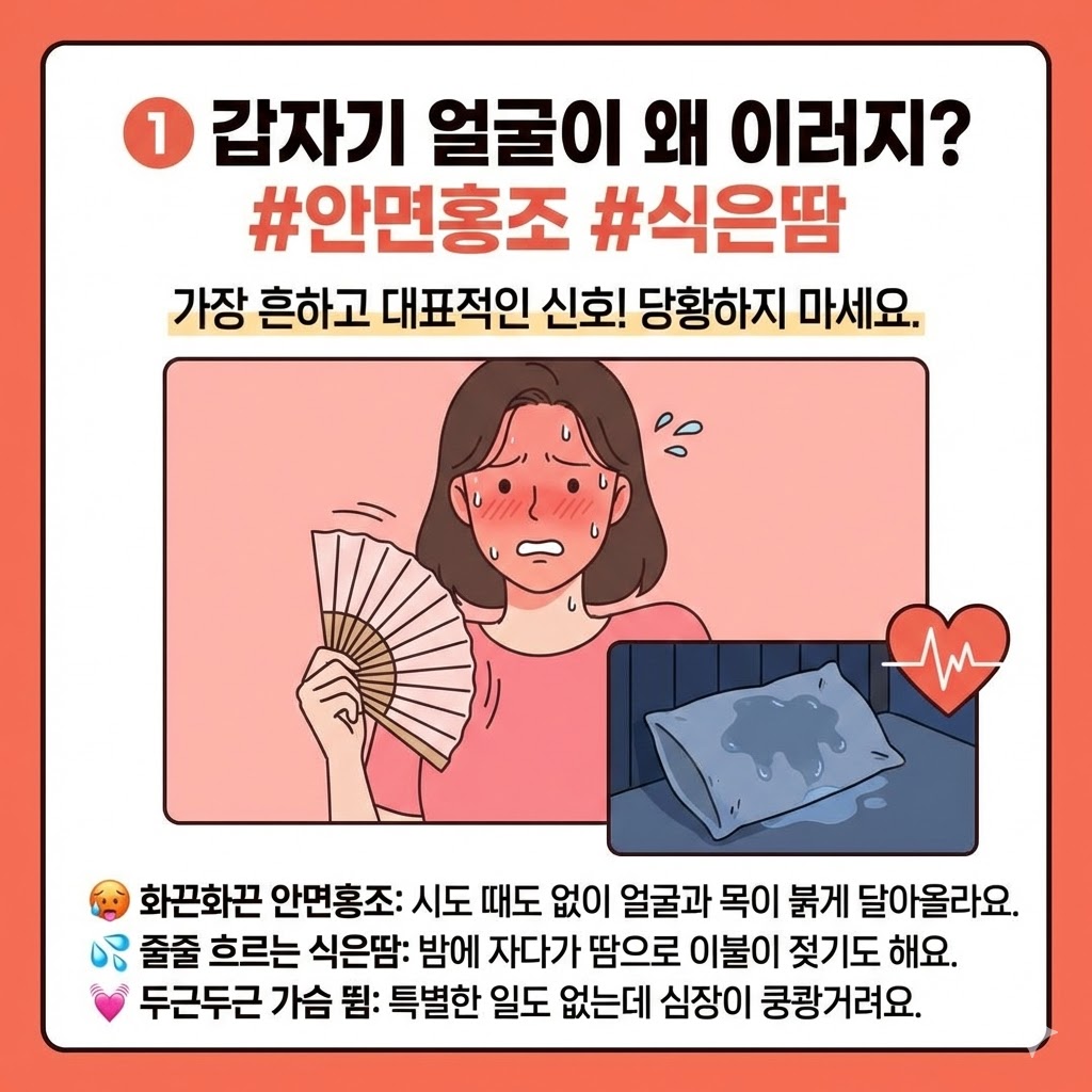 갱년기 증상