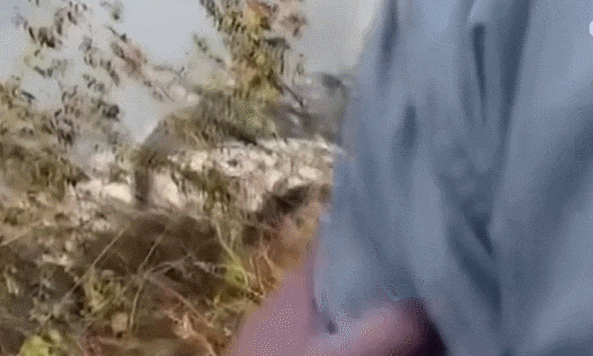 네팔, 수십 년 만에 최악의 항공 참사...72명 전원 사망...한국인도 2명 포함 VIDEO:Plane carrying 72 people crashes in Nepal