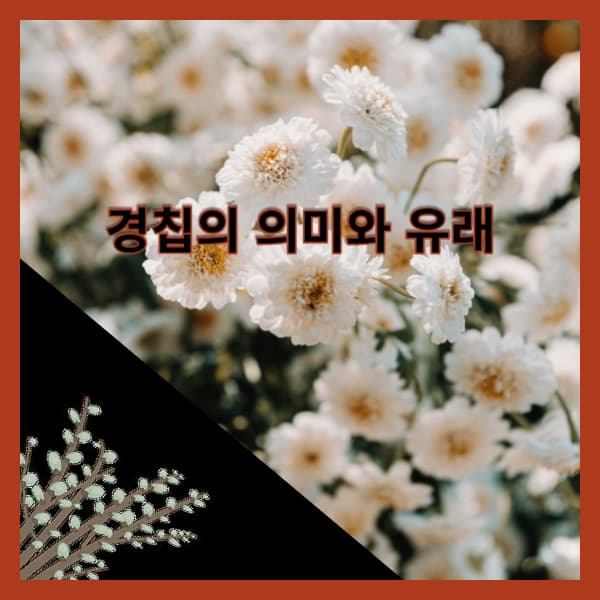 경칩-의미와-유래