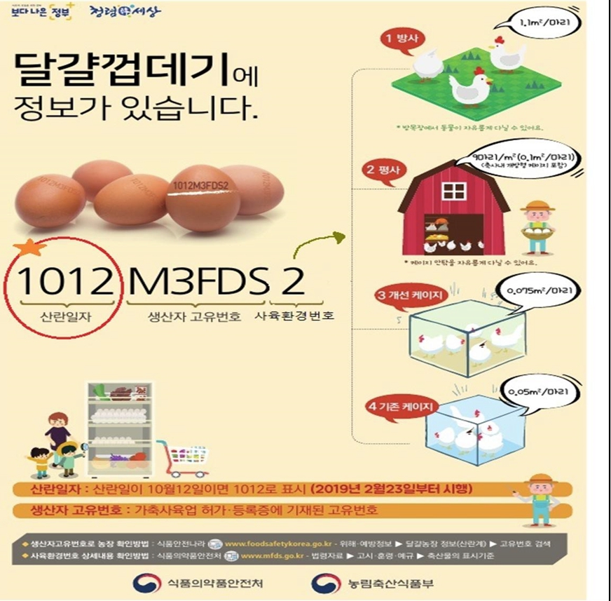 달걀껍데기 정보
