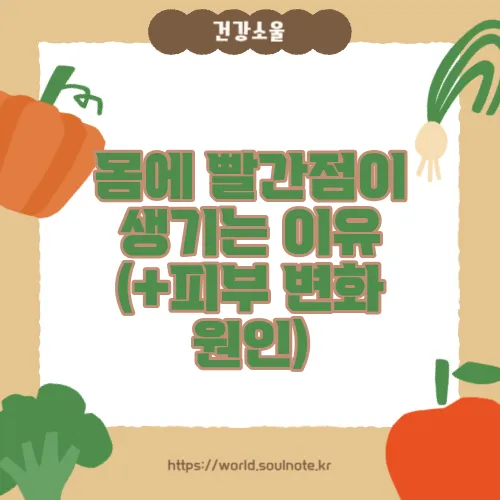 몸에 빨간점이 생기는 이유 (+피부 변화 원인)