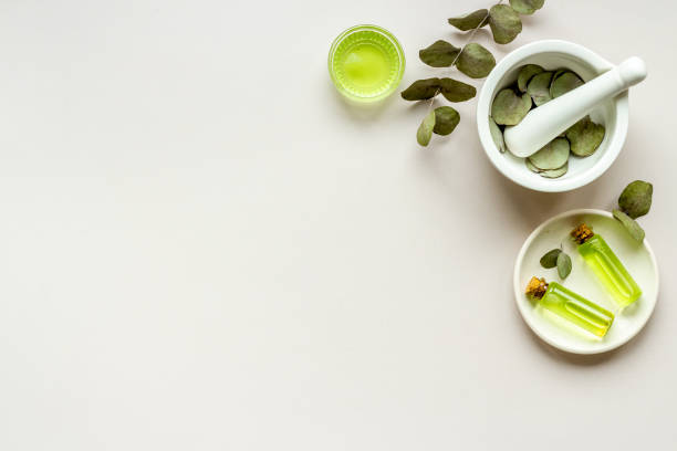 유기농과 일반 식품의 차이: 정말 건강에 도움이 될까?