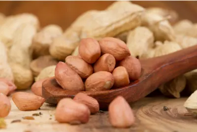 가을 제철 음식 땅콩 효능과 영양성분&amp;#44; 주의점