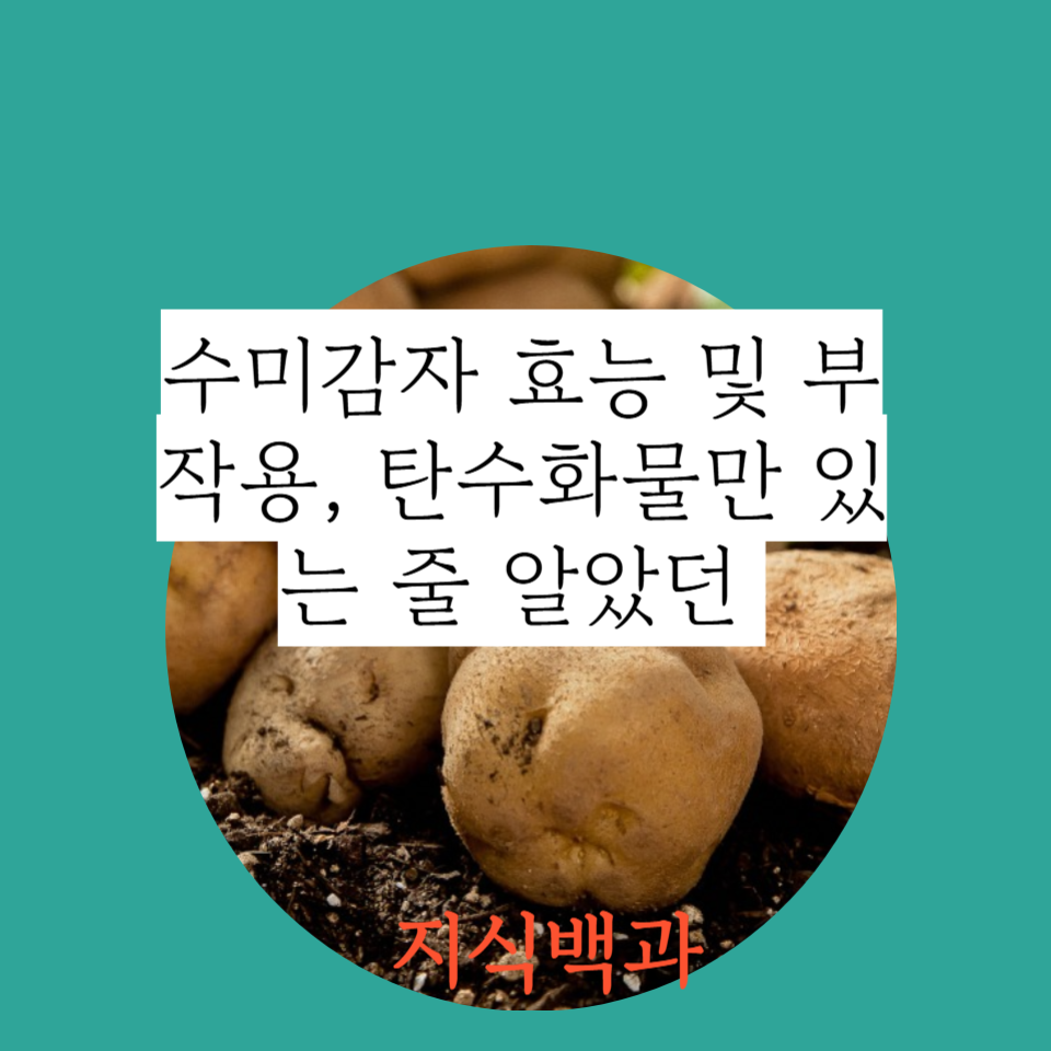 수미감자 효능 및 부작용, 탄수화물만 있는 줄 알았던