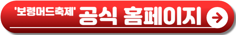 2026 보령머드축제