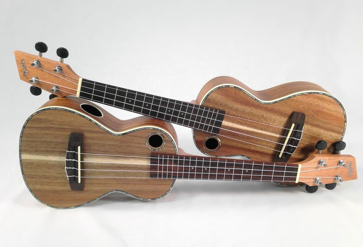 우쿨렐레를 처음 배우는 방법과 팁