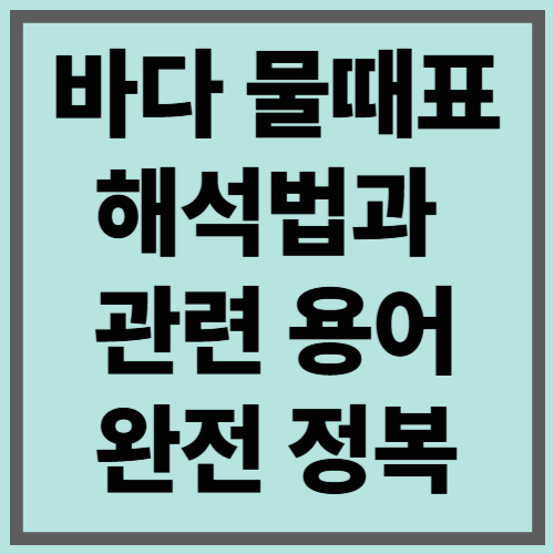 바다 물때표 해석법과&nbsp;관련 용어 완전 정복