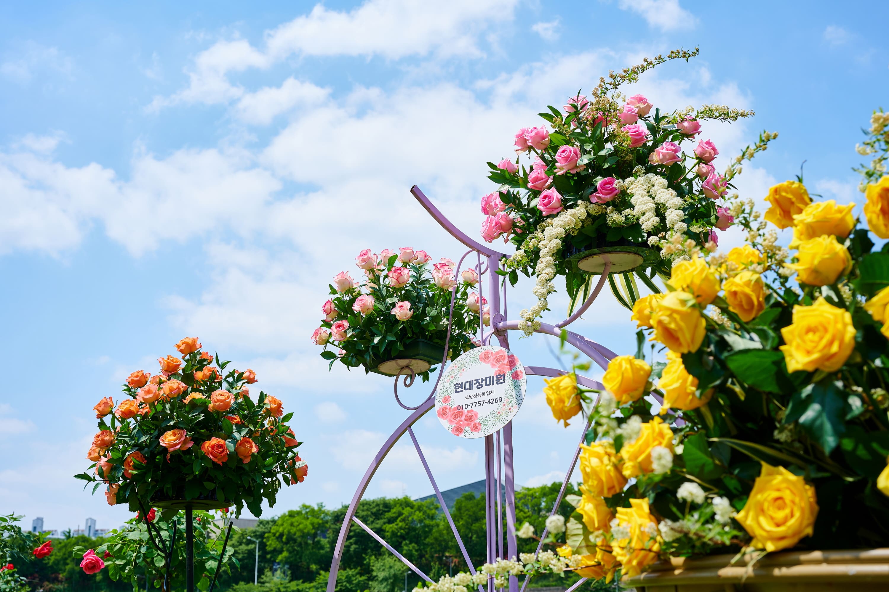 [5월 축제]2025 중랑 서울장미축제❘기간, 일정 및 프로그램, 공연 상세 시간표 정리