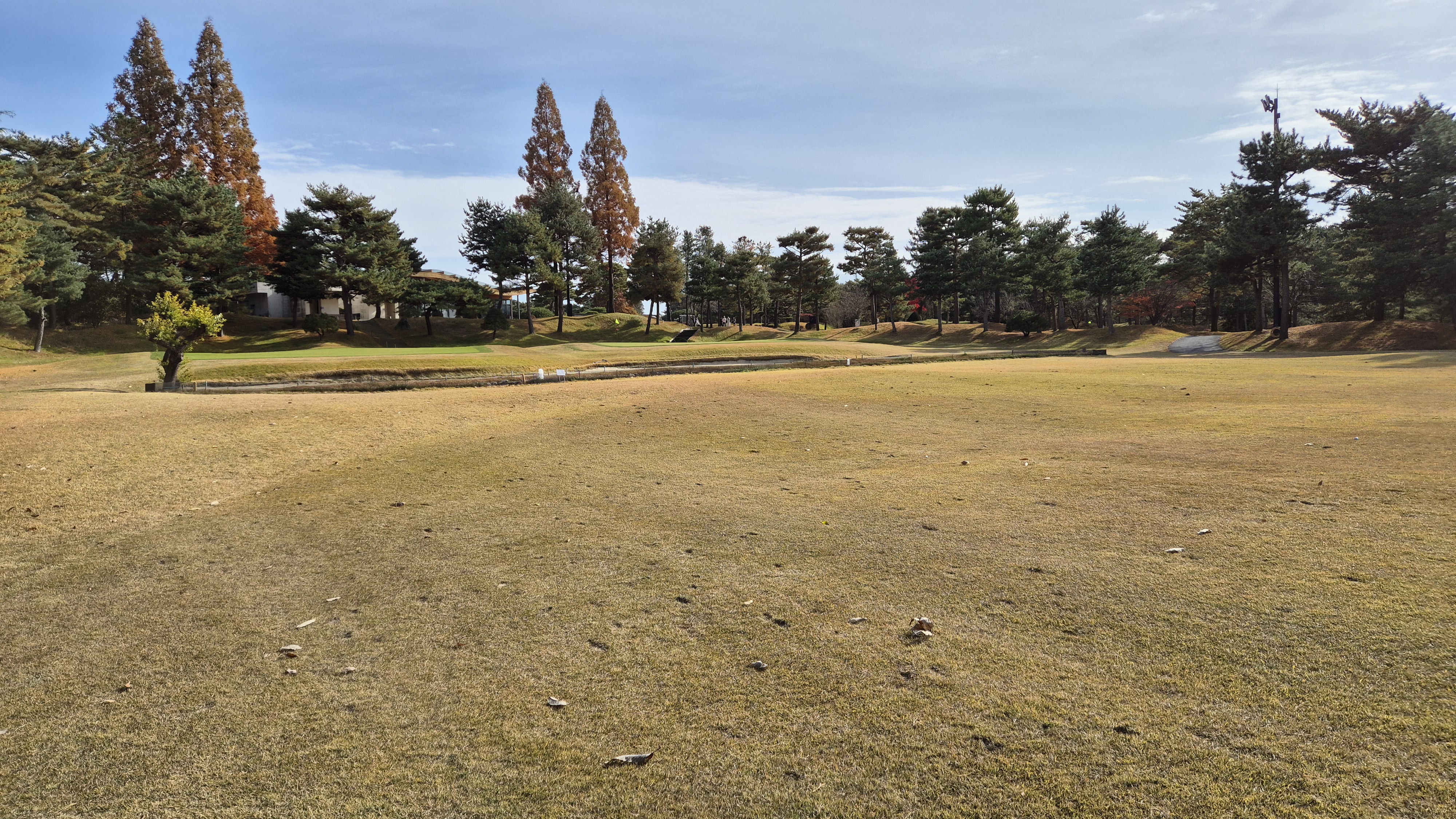 세종에머슨cc 마운틴코스 사진 및 공략 정보