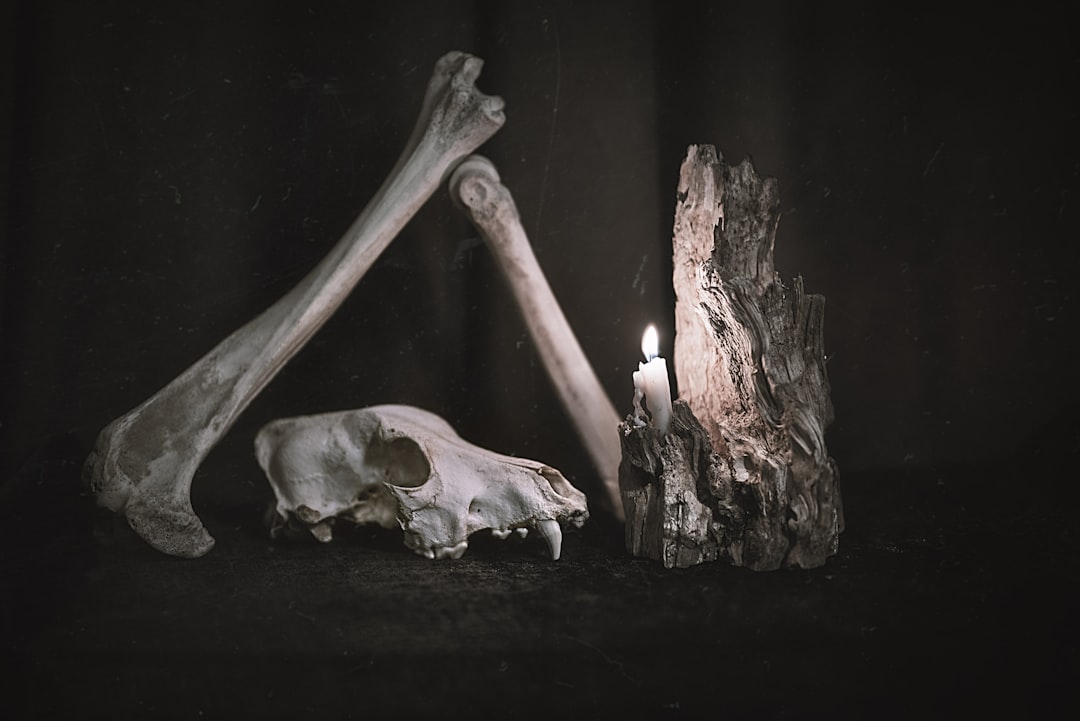 Bone 건강 (Bone health)