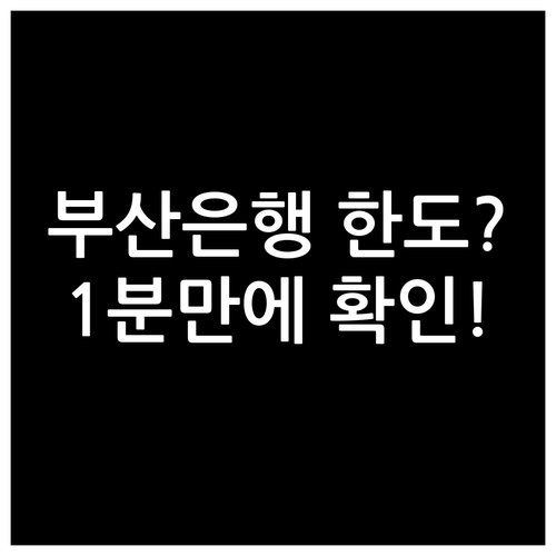 부산은행 마이너스통장 모바일 앱 한도..