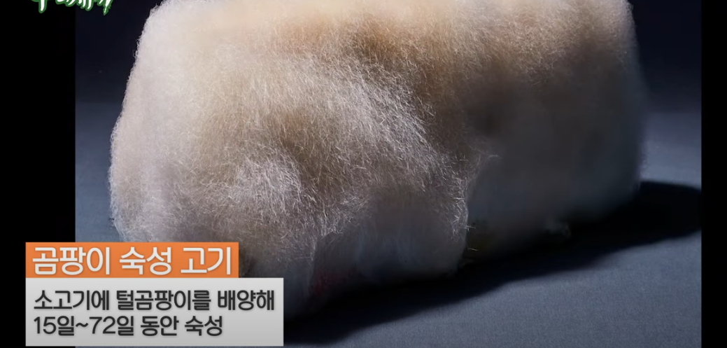 미운우리새끼 배성재 털곰팡이 스테이크 식당