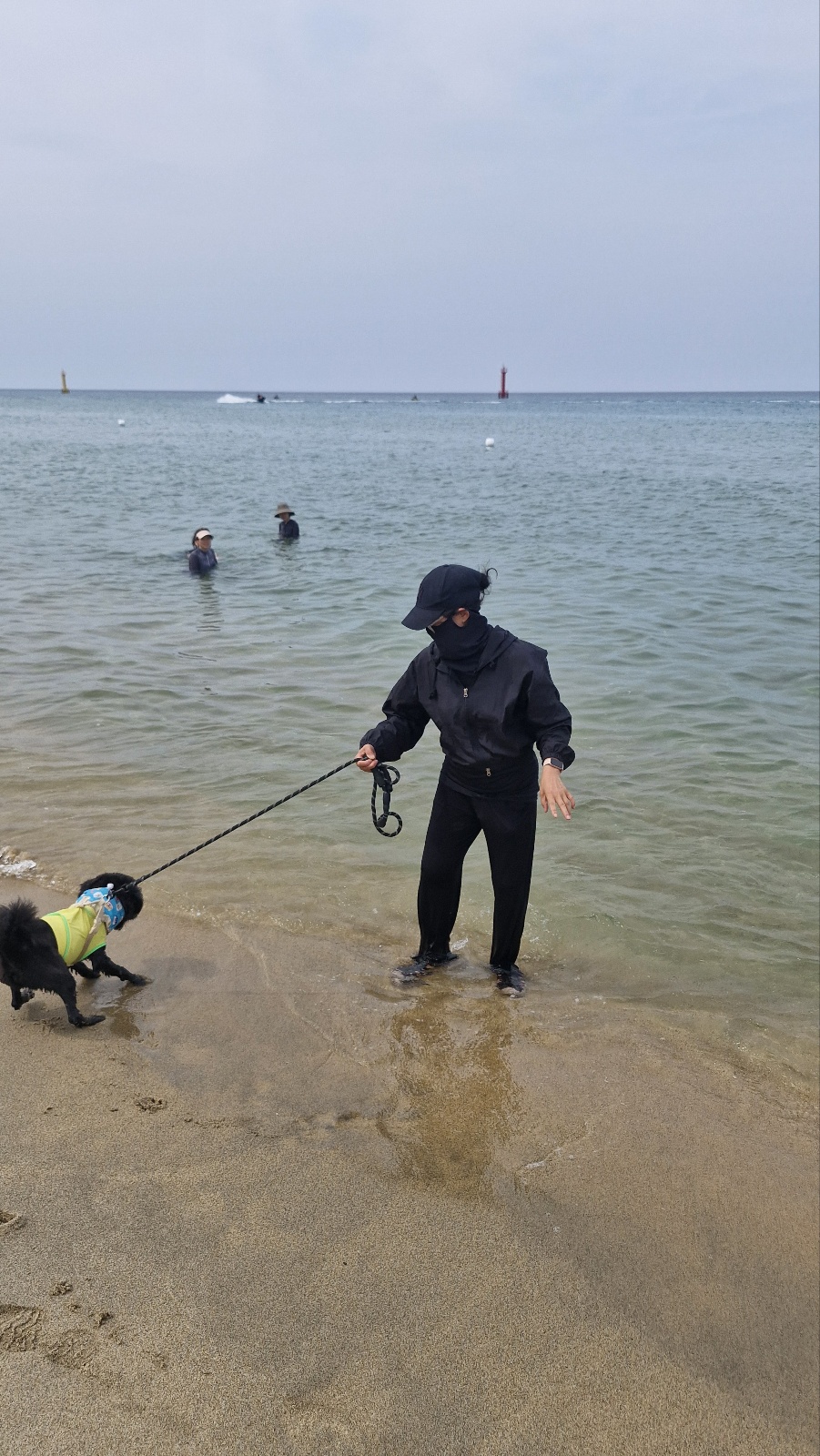 강아지 행동 신호별 교감법 비교 (놀이&amp;#44; 스트레스&amp;#44; 편안함)