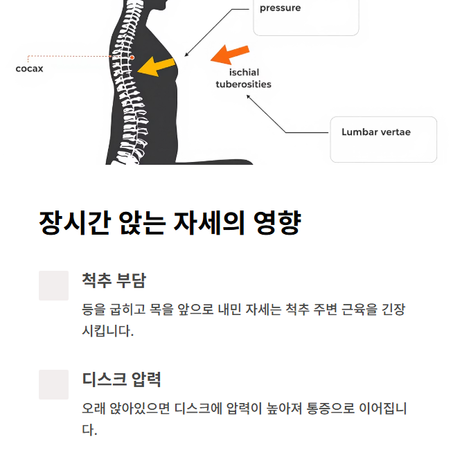 장시간 앉는 자세가 허리에 미치는 영향