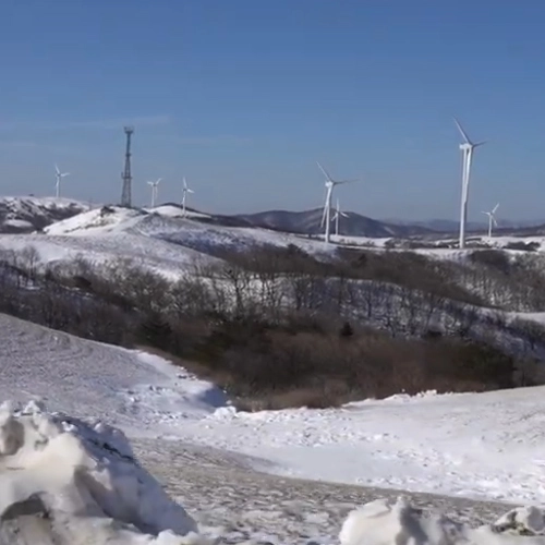 대관령양떼목장