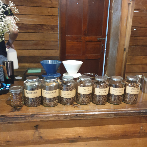 치앙마이 카페 투어 ② : 올드시티 북쪽 창푸악 카페들 (AKA YAMA Coffee)_원두들_병에 담겨있다.