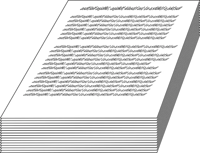 지방세완납증명서