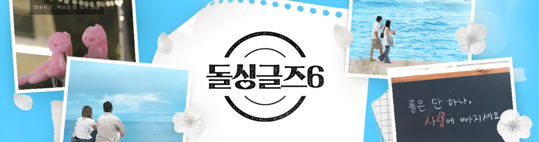 돌싱글즈 실시간방송