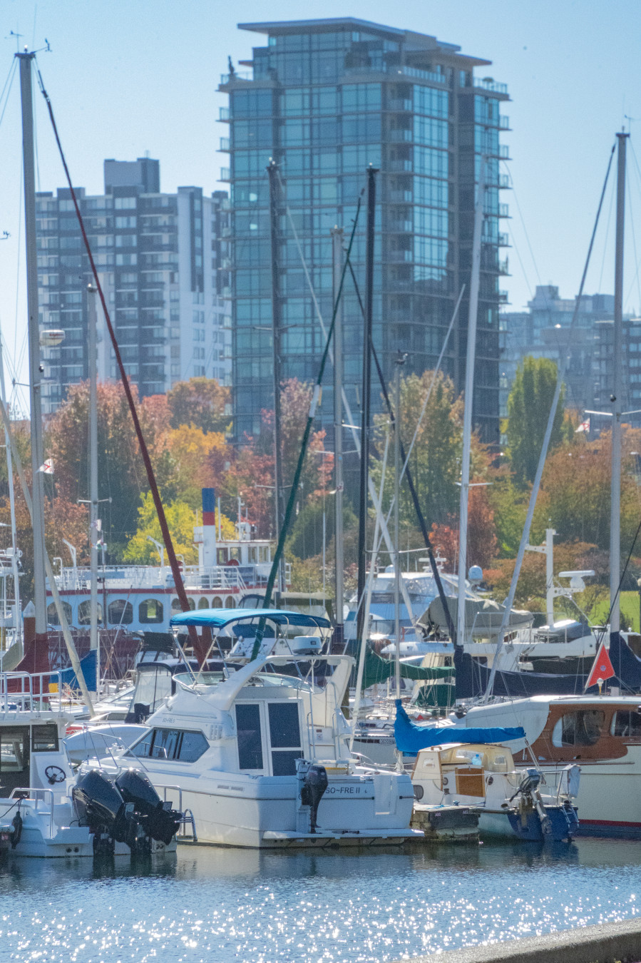 밴쿠버 스탠리 공원 강 산책