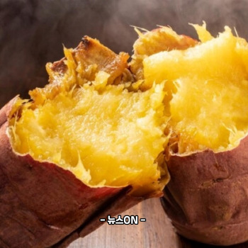 수능 전날 저녁식사