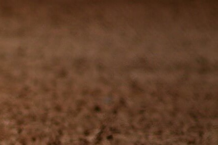 2025 KBO 프로야구 시범경기 일정 및 티켓 예매 방법 총정리