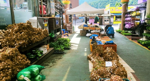 정선5일장 볼거리