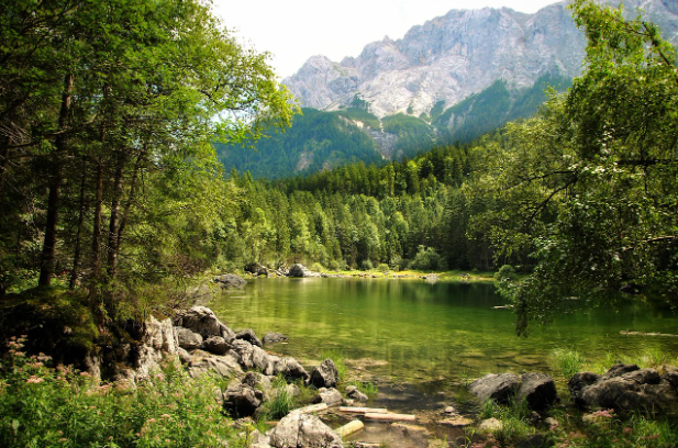 자연휴양림 풍경 사진