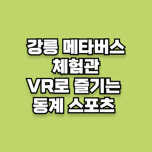 강릉 메타버스 체험관 VR로 즐기는 동계 스포츠