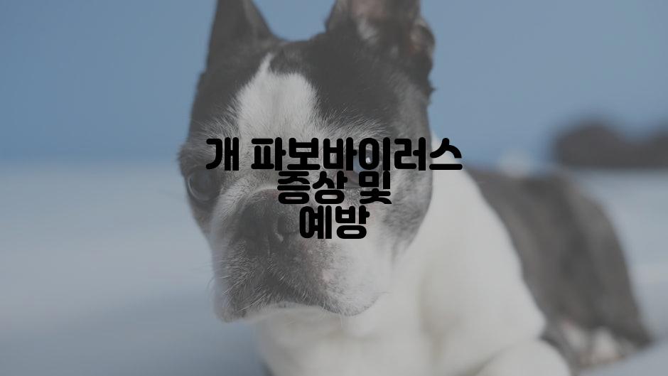 개 파보바이러스 증상 및 예방