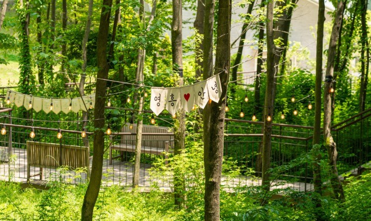 수원 일월·영흥수목원 야간 개장: 체험, 야외공연