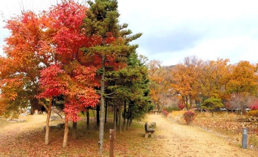 고양 플랜테이션