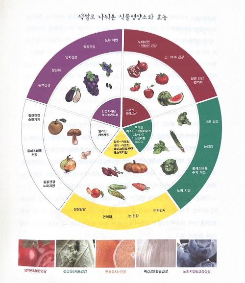 식물영양소와 효능