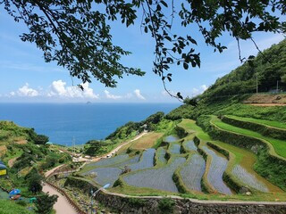 50대 여성 친구여행 추천지 TOP 5: 추억과 힐링을 동시에! (여행코스+맛집 포함)