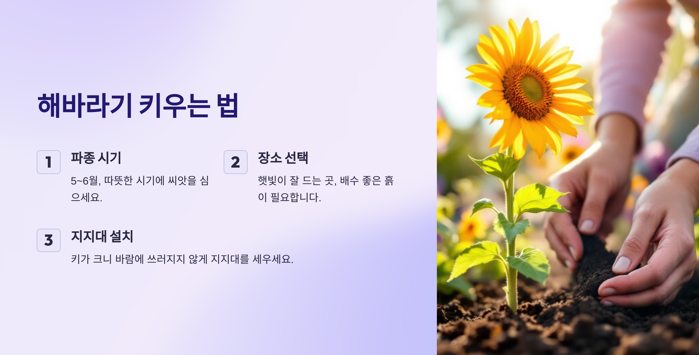 키우는 법