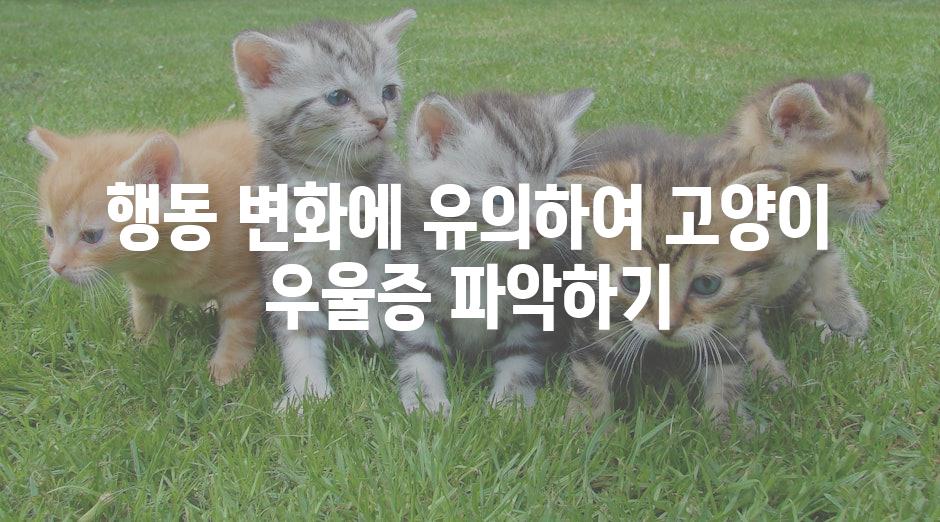 행동 변화에 유의하여 고양이 우울증 파악하기