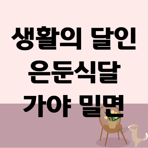 생활의 달인 은둔식달 가야 밀면 달인