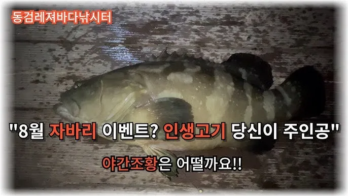 8월 강화도 바다 낚시 어종 소개_4