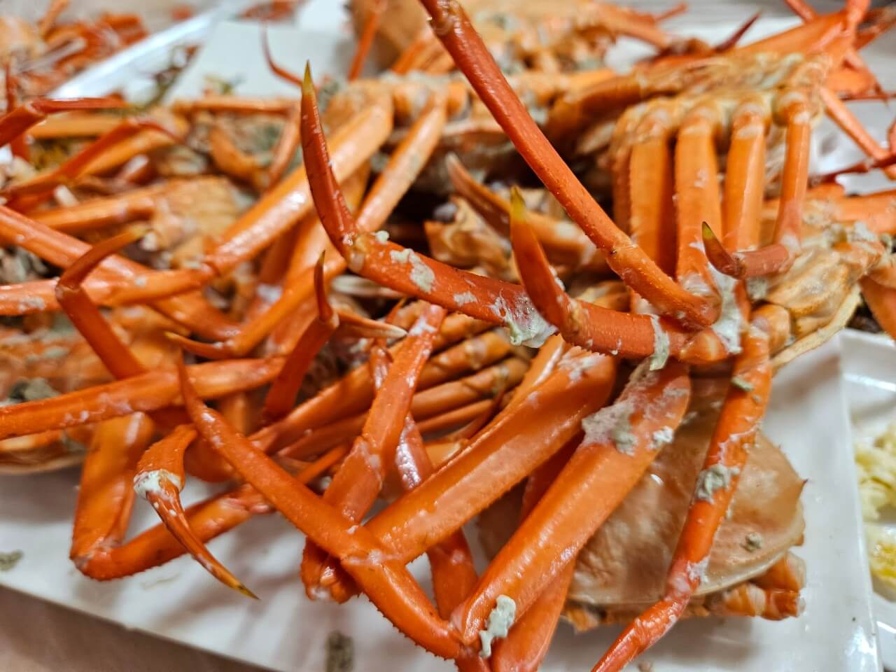 생생정보통 홍게 무한리필 포항 맛집 정보