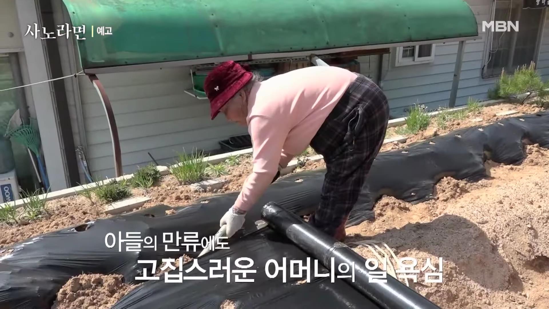 휴먼다큐 사노라면 583회 96세 굴비 장수 어매의 고집스러운 사랑 소개 및 연락처 방송 정보 다시보기