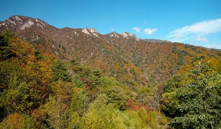 설악산 단풍