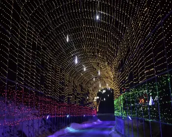 고니골 빛축제_27