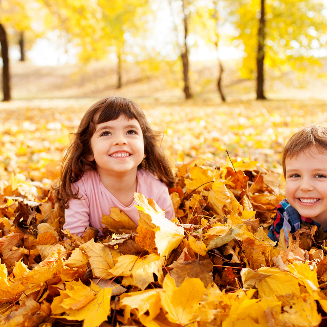 강릉현지인맛집