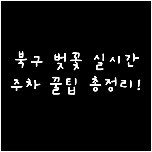 대구 북구 벚꽃 실시간 개화 현황과 ..