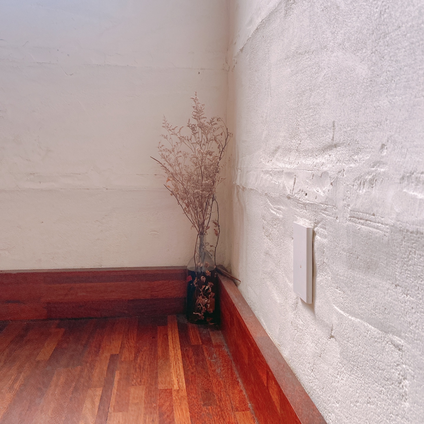 제주시청 대학로거리 주택개조 카페 라토커피