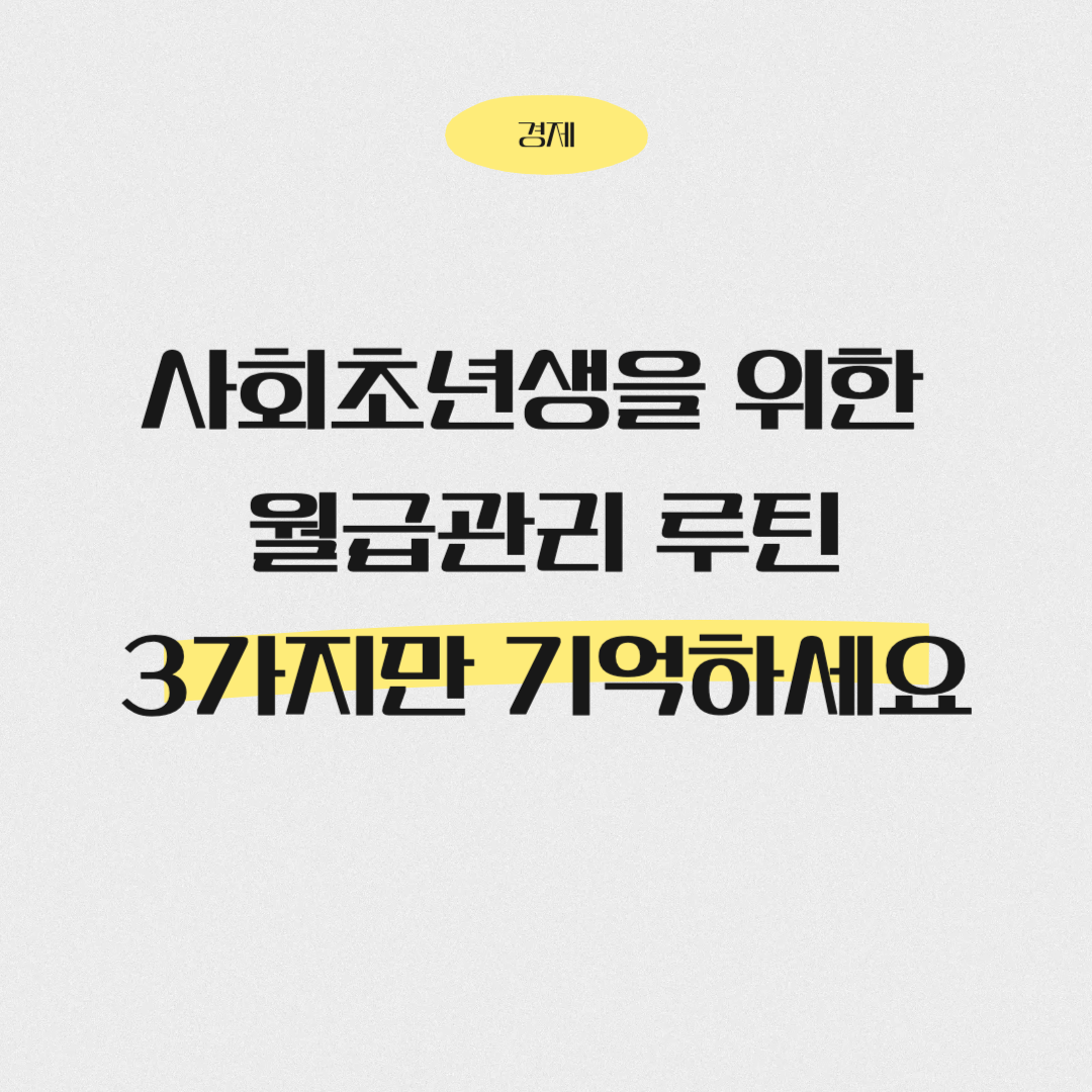 사회초년생월급루틴