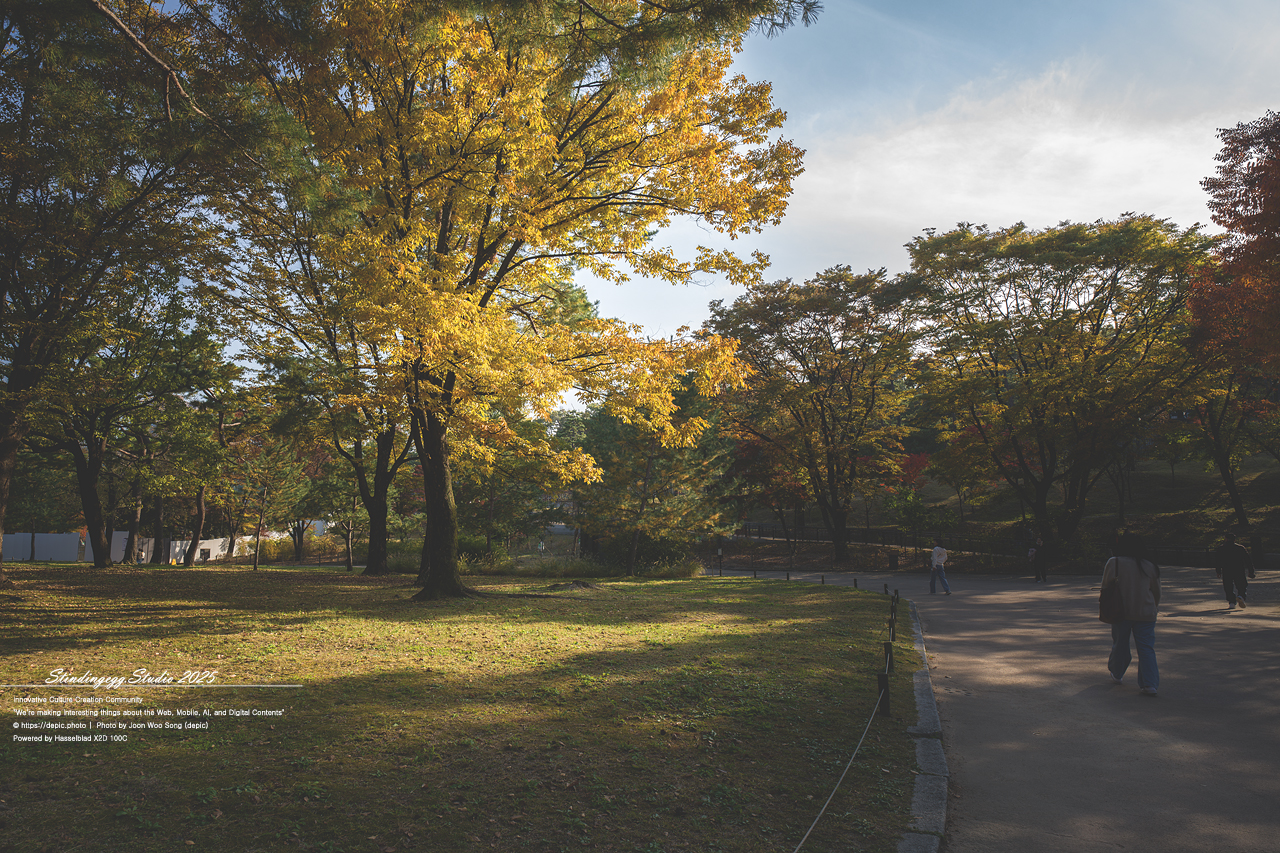 #서울 #창경궁 #궁궐 #조선 #왕
