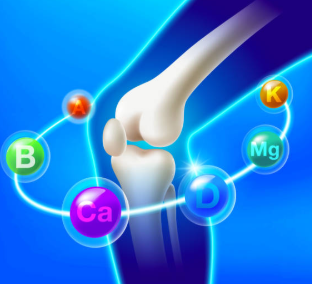 글루코사민&middot;콘드로이틴