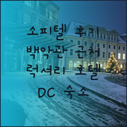 워싱턴 DC 소피텔 라파예트 스퀘어 