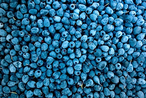 8. 몸에 좋은 과일 딸기 및 크랜베리