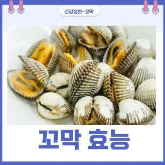 꼬막 무침 맛있게 삶는법_25